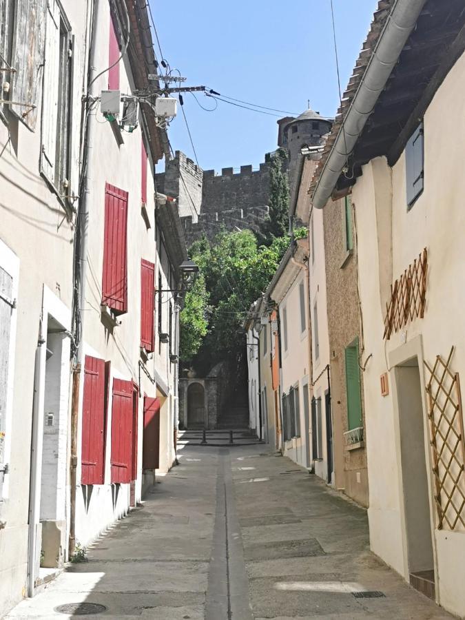 卡尔卡松Les Remparts De Caroline, Au Pied De La Cite.别墅 外观 照片