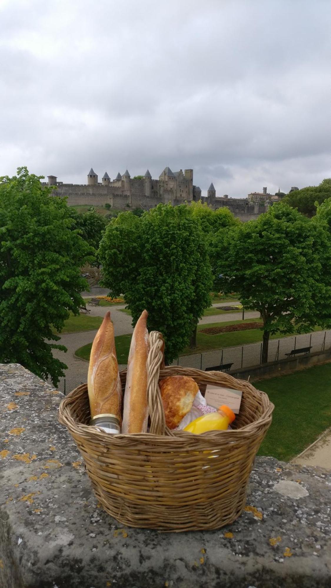 卡尔卡松Les Remparts De Caroline, Au Pied De La Cite.别墅 外观 照片